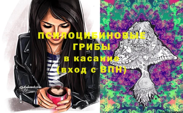 гидра Алексеевка
