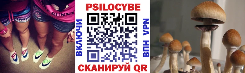 Галлюциногенные грибы мицелий  Боровичи 